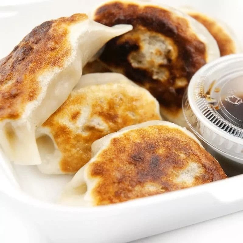 Gyoza Plate